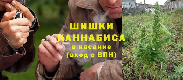 молекула духа Алзамай