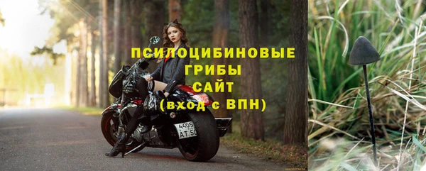 молекула духа Алзамай