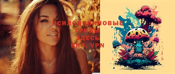 молекула духа Алзамай