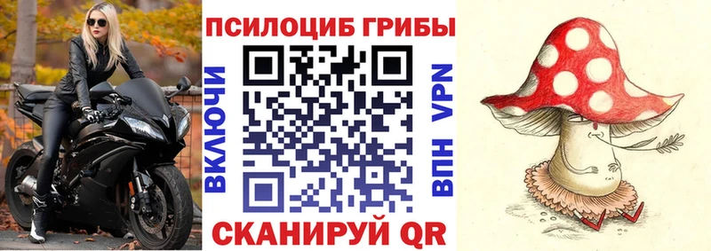 Галлюциногенные грибы Psilocybe  Хотьково 